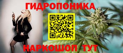 прущие грибы Гусиноозёрск
