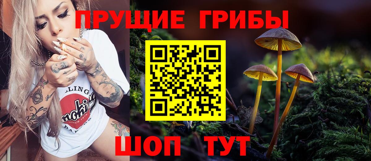 Галлюциногенные грибы MAGIC MUSHROOMS  Вход с VPN  Зеленокумск 